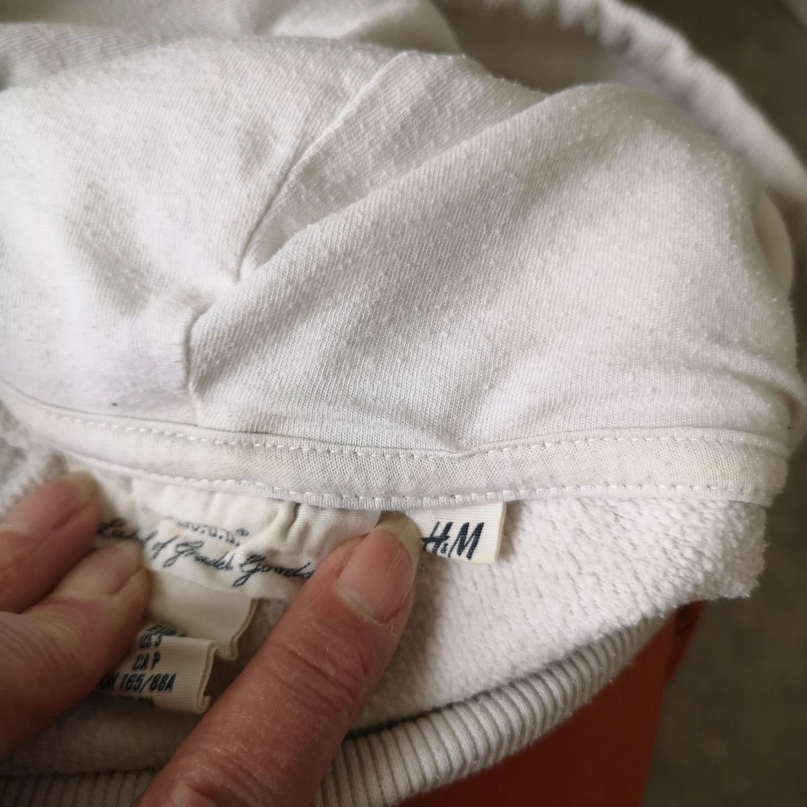 Hoddie, capuchonsweat – photo 5